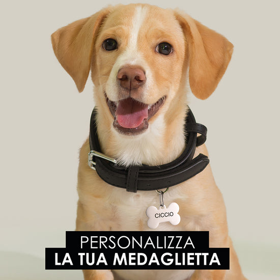 ÉTIQUETTE PERSONNALISABLE POUR CHIEN ET CHAT