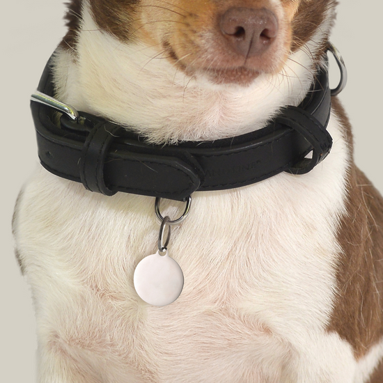 MÉDAILLE CIRCULAIRE PERSONNALISABLE POUR CHIEN ET CHAT